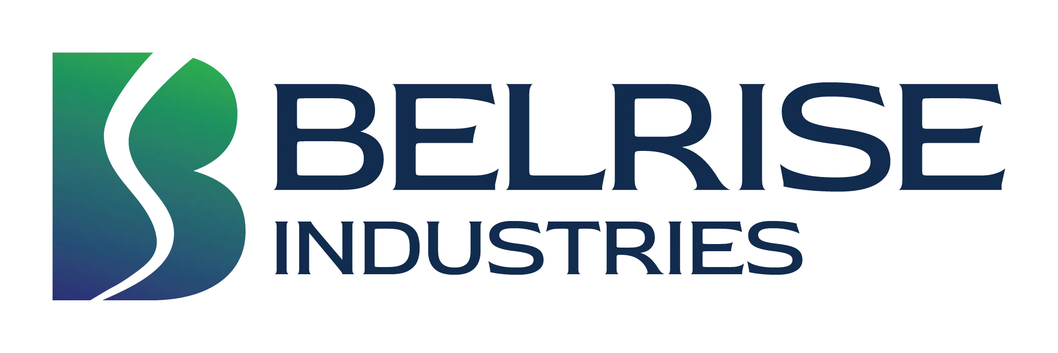 Belrise Industries IPO logo