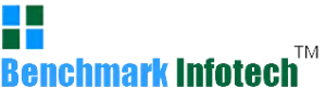 Bench Mark Infotech Services IPO