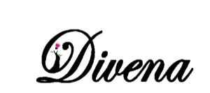 Dudani Retail IPO