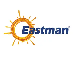 Eastman Auto & Power IPO logo