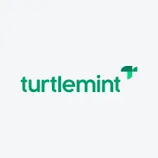 Turtlemint Fintech Solutions IPO